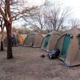 4-Day-Tanzania-Camping-Safaris_nalla-toura