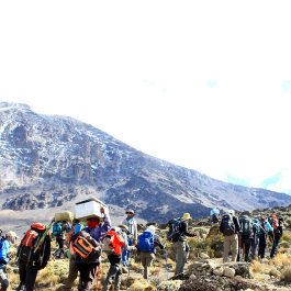 6-Day-Kilimanjaro-Trekking--6-Days-Kilimanjaro-Climbing-Rongai-Route