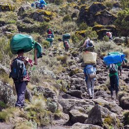 6-Days-Kilimanjaro--Marangu-Route