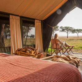 7-days-tanzania-lodge-safari